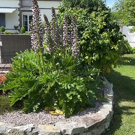 Holiday home Au Chant Du Coq