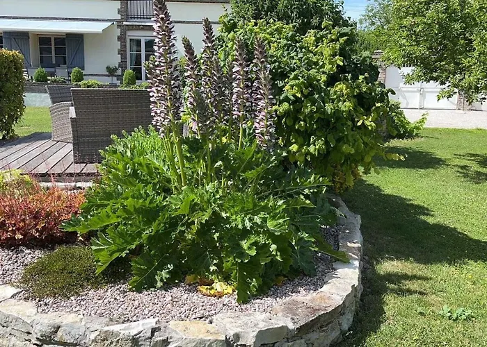 Dom wakacyjny Au Chant Du Coq